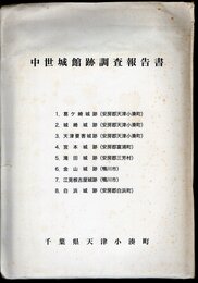 ふるさと資料　中世城館跡調査報告書
