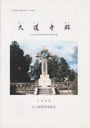 山口県埋蔵文化財調査報告第186集　大道寺跡-平成10年度重要遺跡確認緊急調査報告書