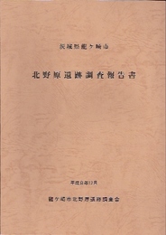 茨城県龍ヶ崎市　北野原遺跡調査報告書