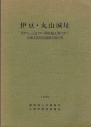 伊豆・丸山城址-西伊豆、国道136号線拡幅工事に伴う埋蔵文化財発掘調査報告書