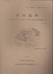 今宿遺跡　ソフトピアジャパン造成工事に伴う緊急発掘調査報告書(全2)