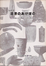 沼津のあけぼの展-発掘された原始・古代の郷土