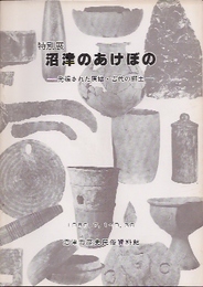 沼津のあけぼの展-発掘された原始・古代の郷土