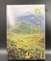 群馬の峠