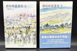 群馬県農業史　上下全2冊揃