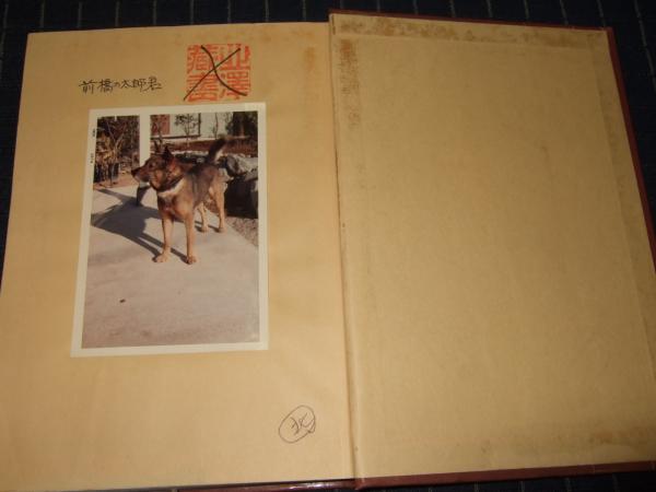 日本犬 名犬写真集 愛犬の友編集部 編 古本 中古本 古書籍の通販は 日本の古本屋 日本の古本屋 日本犬 名犬写真集 愛犬の友編集部 編 古本 中古本 古書籍の通販は 日本の古本屋 日本の古本屋