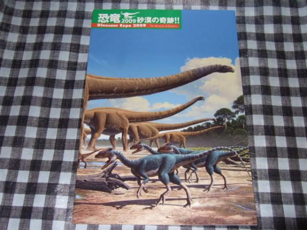 恐竜09 砂漠の奇跡 恐竜ミイラ化石と世界最大級の恐竜 日本経済新聞社 テレビ東京 日経ナショナルジオグラフィック社編 高橋書店 古本 中古本 古書籍の通販は 日本の古本屋 日本の古本屋