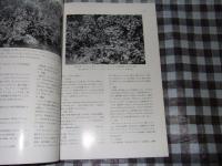 タイ国マングローブ林の植生生態学的研究