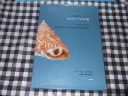 オキナエビスガイ類 : 遠藤貝類コレクション