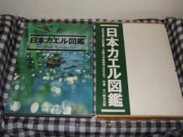 日本カエル図鑑