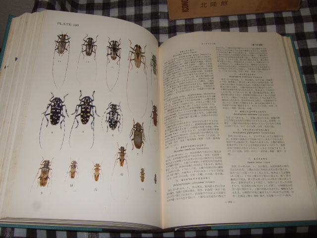 原色昆虫大図鑑 Ⅱ（甲虫篇） / 古本、中古本、古書籍の通販は「日本の