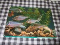 中国淡水魚類原色図集　第１～３集