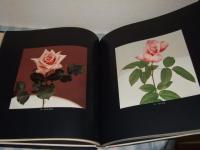 薔薇 : 秋山庄太郎作品集