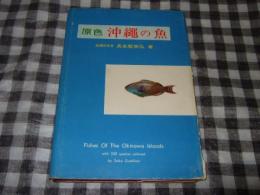 原色沖縄の魚