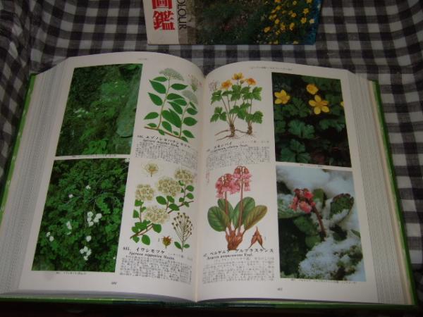 原色高山植物大図鑑 / 高橋書店 / 古本、中古本、古書籍の通販は「日本 