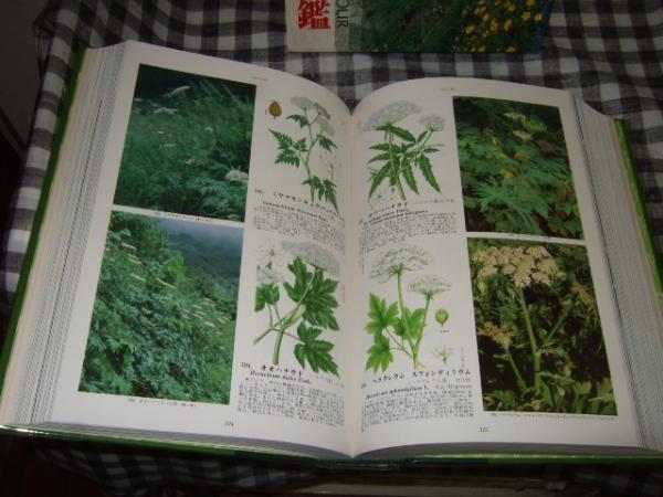 原色高山植物大図鑑 / 高橋書店 / 古本、中古本、古書籍の通販は「日本 
