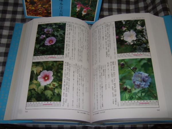 原色茶花大事典 原色茶花大事典 |本 | 通販 | Amazon