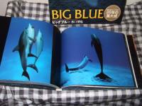 ビッグブルー : The world of whales & dolphins