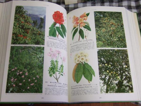 原色高山植物大図鑑 【公式通販】