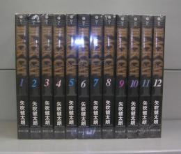 BLACK CAT　ブラック・キャット（集英社文庫）1～12　全12冊揃