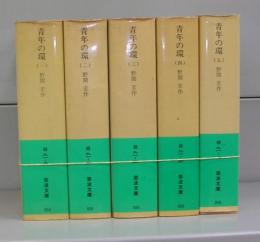 青年の環（岩波文庫）一～五　全5冊揃