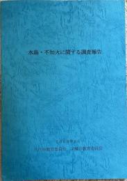 水島・不知火に関する調査報告