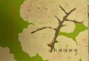 東をどり　昭和３３年　プログラム