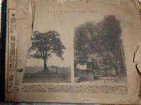 珍奇写真集　創刊号より１８冊