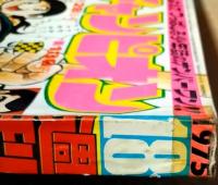 週刊少年チャンピオン　昭和５０年４月２８日号（１８号）　表紙：水島新司
　ドガベン