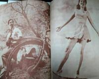 オール映画　写真集ＮＯ.２