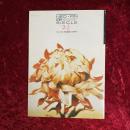 夜想＋銀星倶楽部　2と1/2　NEO・FIN・DE・SIECLE　昭和60年2月号