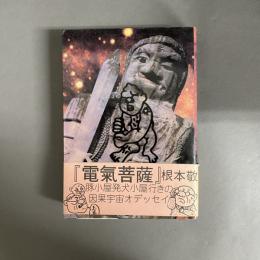 電気菩薩 : 豚小屋発犬小屋行きの因果宇宙オデッセイ