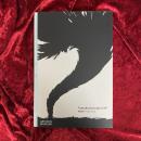 Tomoko Konoike FLIP : 鴻池朋子 : ちゅうがえり