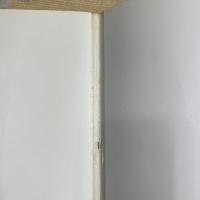 HALLELUJAH ANYWAY　洋書