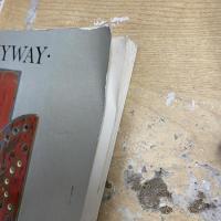 HALLELUJAH ANYWAY　洋書