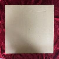 レオノール・フィニー 画集