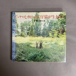 ズッケロとカピートに仔猫が生まれた : 写真集