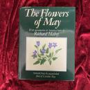 FLOWERS OF MAY　洋書