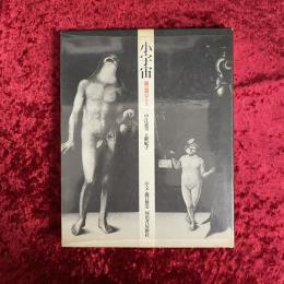 小宇宙 : 鏡の淵のアリス