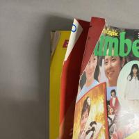 Ｎｕｍｂｅｒ　ほんとに別冊　日本の美しい女たち168人！ WE LOVE WOMAN 168