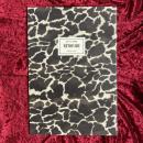 金子國義銅版画集 : METONYMIE　換喩　 内容見本パンフレット