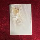 夜想bis 特集●ドールという身体