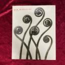 Karl Blossfeldt: Photography　洋書