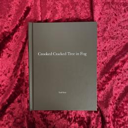 Crooked Cracked Tree：　Todd Hido　 トッド・ハイド　洋書　オリジナルプリント付き