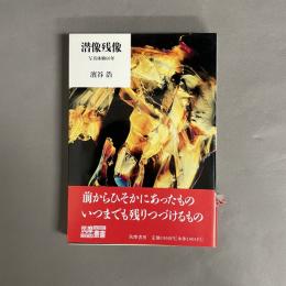 潜像残像 : 写真体験60年