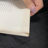 Two Lives, Georgia O'Keeffe & Alfred Stieglitz: A Conversation in Paintings and Photographs　洋書　ジョージア・オキーフ　アルフレッド・スティーグリッツ