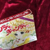 キャンディ　キャンディ　愛蔵版　1巻・2巻　全2冊セット