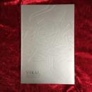 Enrico Isamu Oyama VIRAL　大山エンリコイサム　展覧会カタログ