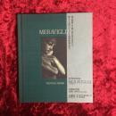 Meraviglia : 及川哲也写真集