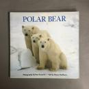 Polar Bear　洋書